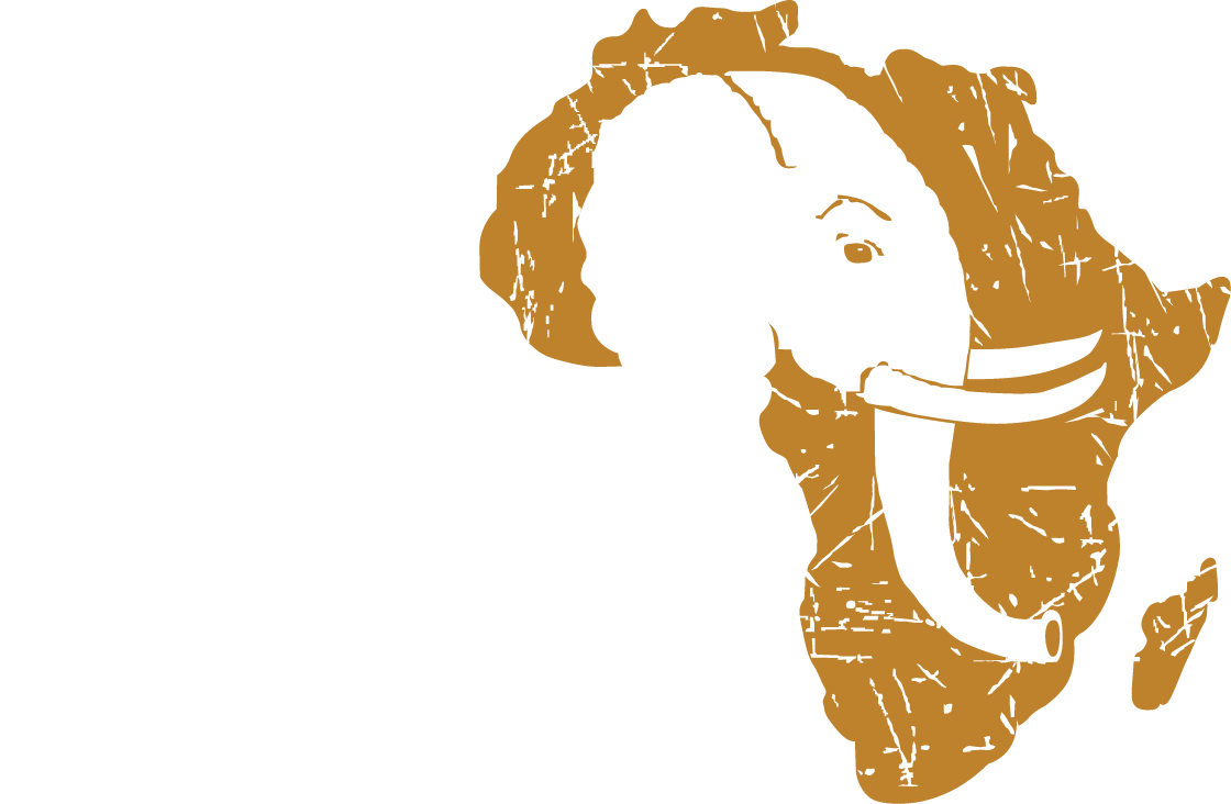 Safari Wild Africa | Best African Safari Tours